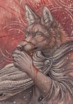  2015 anthro blood canine clothed clothing coyote fur male mammal rukis solo 