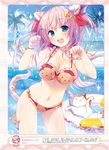  animal_ears banned_artist bikini blue_eyes blush breasts cat cat_ears cat_tail cleavage dengeki_moeou fang hair_ornament highres innertube jpeg_artifacts konomi_(kino_konomi) large_breasts long_hair navel open_mouth paw_pose pool purple_hair red_bikini scan smile solo swimsuit tail 