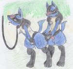  blush female leash lucario male nintendo penis pok&eacute;mon sweat traditional_media_(artwork) video_games 