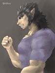  angry anthro canine captainjohkid claws clothing fangs fist flakjacket0204 fur grey_fur growth human male mammal muscle_growth sequence shirt solo teeth transformation were werewolf 
