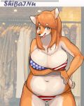  2018 absurd_res big_breasts bikini breasts brown_fur brown_hair canine chest_tuft clothed clothing dog female fur hair hand_on_hip hi_res looking_at_viewer mammal navel open_mouth shiba_inu slightly_chubby solo standing swimsuit tongue tongue_out tuft united_states_of_america wanko0487 
