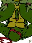  anal anal_penetration anthro brothers duo incest male male/male penetration penis raphael_(tmnt) reptile ruran scalie sibling teenage_mutant_ninja_turtles turtle 