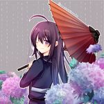  ahoge black_hair flower hair_down hydrangea kuro_(pixiv213382) long_hair looking_back male_focus namazuo_toushirou one_eye_closed oriental_umbrella purple_eyes solo touken_ranbu umbrella 