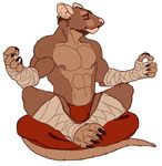  abs amit anthro biceps boxers brown_fur claws clothed clothing ear_piercing eyes_closed fingerless fur gloves half-dressed male mammal meditation muscles nipple_piercing nipples piercing rat rodent sitting solo speedo swimsuit tiptoe_(character) toe_claws topless underwear white_backround wraps 