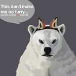  animal_ears bear blue_eyes canine denial fox mammal polar_bear pouting randomarcticfox solo text 