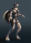  canine dog husky latex_(artist) male mammal rubber standing 