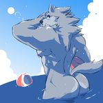  balls bcokami beach beach_ball blue_eyes butt canine cute digital_media_(artwork) lifeguard male mammal nipple_piercing nipples nude piercing pixel_(artwork) seaside sun water wet wolf 