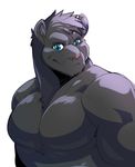  black_fur blue_eyes clothed clothing fur half-dressed kokuhane male muscles pink_nose smile strong topless 