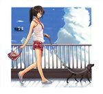  bad_source bag blue_eyes brown_hair cloud day dog karanak legs original sandals scenery shorts sky solo 