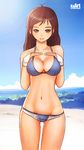 beach bikini breast_suppress breasts brown_hair day groin karanak large_breasts outdoors sky solo swimsuit water 