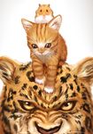  animalization bon_nob cat commentary_request hamster hoshizora_rin koizumi_hanayo leopard love_live! love_live!_school_idol_project nishikino_maki no_humans odd_one_out on_head 