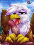  2015 avian balls beak blush cloud dimwitdog equine erection female friendship_is_magic gilda_(mlp) group gryphon hair half-closed_eyes human licking male male/female mammal multicolored_hair my_little_pony nude on_cloud oral outside pegasus penis penis_lick rainbow_dash_(mlp) rainbow_hair saliva sex tongue tongue_out wings 