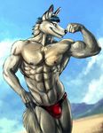  abs anthro beach biceps bleakcat bulge canine chest_tuft clothing fox fur male mammal muscles nipples pecs seaside solo tuft underwear 