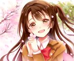  brown_eyes brown_hair cherry_blossoms face head_tilt idolmaster idolmaster_cinderella_girls long_hair looking_at_viewer one_side_up open_mouth outdoors petals portrait sakura_hiyori school_uniform shimamura_uzuki smile solo tree 