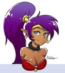  1girl akairiot blue_eyes breasts cleavage large_breasts looking_at_viewer pointy_ears ponytail purple_hair shantae shantae_(character) simple_background 