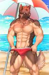  abs anthro beach biceps bulge canine canyne_khai clothing fur male mammal muscles pecs seaside solo underwear 