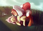  2015 aiko_stable balls blush duo equine eyes_closed female feral fluttershy_(mlp) friendship_is_magic male male/female mammal my_little_pony pegasus penetration penis pussy vaginal wings 