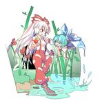  albino bamboo bamboo_forest blue_eyes blue_hair boots bow cirno dress fire forest fujiwara_no_mokou full_body hair_bow hair_ornament hair_ribbon ice ice_wings long_hair long_sleeves looking_at_another melting moyazou_(kitaguni_moyashi_seizoujo) multiple_girls nature open_mouth pants puffy_sleeves red_eyes ribbon shirt short_hair short_sleeves smile sweat touhou water white_hair wings 