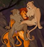  disney feline female koutou_(artist) lion male mammal milf mother mufasa parent sarabi sarafina sex the_lion_king 