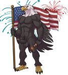  2015 abs anthro avian badcoyote bald_eagle balls beak bird brown_feathers claws eagle erection feathered_wings feathers firecracker fireworks flag front_view independence_day male muscles nude partially_retracted_foreskin pecs penis simple_background solo standing talons toe_claws toned uncut united_states_of_america us_flag waving_flag wings yellow_eyes 