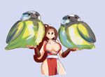  bird bird_on_hand breasts brown_eyes brown_hair fatal_fury fupoo japanese_clothes large_breasts long_hair oversized_clothes pelvic_curtain ponytail pun revealing_clothes sash shiranui_mai side_slit sideboob solo the_king_of_fighters tit_(bird) 