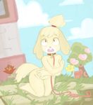  animal_crossing canine isabelle_(animal_crossing) kumanaut mammal nintendo nude petplay roleplay video_games 