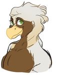  avian brown_fur fur galaxyboy green_eyes gryphon headshot invalid_tag male safe solo turz white_fur 