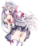  animal_ears arm_garter ass bare_shoulders bow breasts cat_ears cat_tail hair_ribbon large_breasts long_hair looking_at_viewer maid maid_headdress mauve original panties purple_eyes ribbon silver_hair simple_background sketch smile solo tail tail_bow tail_ribbon thighhighs underwear white_background white_legwear white_panties 