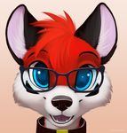  2015 ambiguous_gender anthro canine collar cute eyewear fox fur glasses jamesfoxbr jonhs mammal open_mouth plain_background red_fur smile teeth 