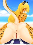  2015 anthro anus beach bikini blonde_hair blush butt cheetah clothing evov1 feline female hair long_tail looking_at_viewer looking_back mammal mihari nude pose pussy sea seaside solo spots swimsuit water yellow_eyes 