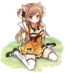  animal_ears blush bow breasts brown_eyes brown_hair cat_ears cleavage cleavage_cutout hair_bow large_breasts long_hair looking_at_viewer mauve original paper_airplane sitting sketch smile solo thighhighs wariza white_legwear 