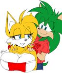  2015 akatsukishiranui-fox anthro big_breasts breasts canine cleavage clothed clothing crossgender fan_character female fox hedgehog huge_breasts male mammal miles_prower smile sonic_(series) 