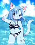  blue_eyes blue_fur blue_hair bra cat clothing cloud feline fur hair kemono mammal panties swimsuit underwear water けもりぼん 