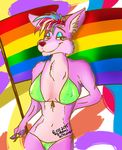  alexis_kitsune bikini breasts canine clothing colorful dog dyed female flag fur gay_marriage hair homo invalid_color lgbt looking_at_viewer male male/male mammal nipples pride swimsuit 