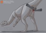  2015 animal_genitalia claws cloaca dialogue dinotopia disembodied_hand dradgien feral grey_eyes grey_skin half-erect looking_back male open_mouth patreon penis plain_background precum prehensile_penis sketch solo spreading text tongue yaroul zippo_(dinotopia) 