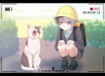  1boy aged_down aoyagi_touya backpack bag battery_indicator black_shoes blue_hair brown_shorts cat child closed_eyes collared_shirt commentary day grey_eyes hands_on_own_knees hat highres letterboxed long_sleeves male_focus mole mole_under_eye multicolored_hair open_mouth outdoors parted_lips project_sekai shirt shoelaces shoes short_hair shorts socks solo split-color_hair squatting tongue two-tone_hair untranslatable_commentary v_prsk viewfinder wing_collar yawning yellow_hat 