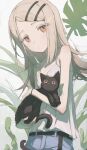  1girl animal bare_shoulders black_cat blonde_hair blush cat closed_mouth colored_eyebrows colored_eyelashes denim denim_shorts gakuen_idolmaster highres holding holding_animal holding_cat idolmaster looking_at_viewer nalphanne orange_eyes parted_bangs plant shinosawa_hiro shirt shorts skinny solo upper_body white_background white_shirt 