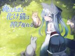  1girl absurdres all_fours animal animal_ear_fluff animal_ears ass bare_shoulders black_bow black_skirt blue_eyes bow cat commentary_request day detached_sleeves feet_out_of_frame flower frilled_skirt frills from_side grass grey_hair hair_bow hair_over_one_eye highres long_hair long_sleeves looking_at_viewer looking_back nishina_kakeri obi original outdoors pantyhose parted_lips sash skirt solo translation_request very_long_hair white_flower white_pantyhose white_sleeves 