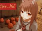  animal_ears apple ayakura_juu food fruit highres holo horo long_hair red_eyes spice_and_wolf tail wolf_ears 