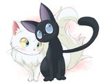  black_fur cat feline feral fur kemono mammal ukan_muri white_fur 