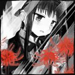  akemi_homura blanket crying crying_with_eyes_open drawr flower mahou_shoujo_madoka_magica mahou_shoujo_madoka_magica_movie monochrome sham00 solo spider_lily spoilers tears 