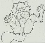  afrosoldier303 canine drawing feet female fuzzy lying mammal on_back pads paws plain_background sketch solo spread_legs spreading tongue tongue_out were werewolf white_background wolf 