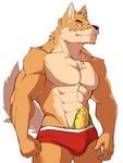  abs anthro biceps big_muscles canine canyne_khai chest_tuft clothing corn fur male mammal muscles pecs tuft underwear 