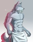  abs biceps canine canyne_khai chest_tuft fur male mammal muscles pecs toothbrush towel tuft wolf 