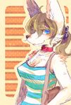  blue_eyes blush brown_hair canine cream_fur dog female fur hair kemono mammal pipisan 