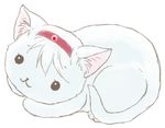  animalization bad_id bad_pixiv_id cat hairband kantai_collection lowres no_humans shoukaku_(kantai_collection) simple_background udon_(shiratama) white_background 