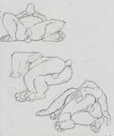  afrosoldier303 anal anthro balls bear chubby drawing human human_on_anthro interspecies lying mammal overweight pads paws plain_background sex sheath size_difference sketch sleeping spread_legs spreading white_background 