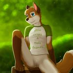  anthro blue_eyes bottomless breasts canine clothed clothing eddiew female forest fox half-dressed june mammal outside pussy raised_leg shirt sitting small_breasts solo tree 
