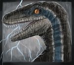  2015 blue_(jurassic_world) close-up dinosaur electricity female feral jurassic_park jurassic_world lightning looking_at_viewer open_mouth raining raptor raptor007 scalie sharp_teeth side_view slit_pupils solo teeth tongue water wet yellow_eyes 
