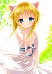  animal_ears blonde_hair blue_eyes cat_ears dress hands minatsuki_alumi original outstretched_arm outstretched_hand short_hair sleeveless smile solo sundress 